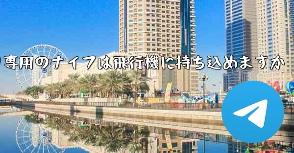 麺切り専用のナイフは飛行機に持ち込めますか