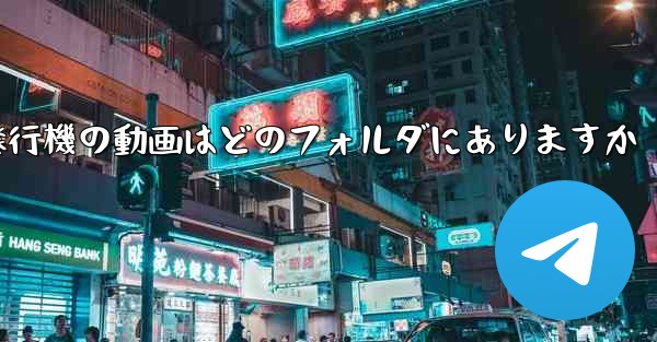紙飛行機の動画はどのフォルダにありますか