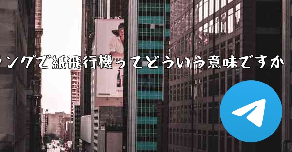 ネットスラングで紙飛行機ってどういう意味ですか