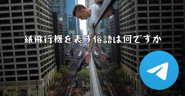 紙飛行機を表す俗語は何ですか