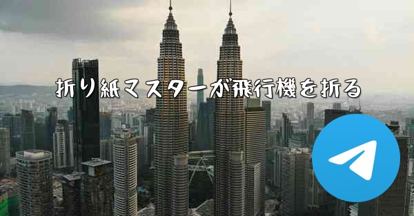 折り紙マスターが飛行機を折る
