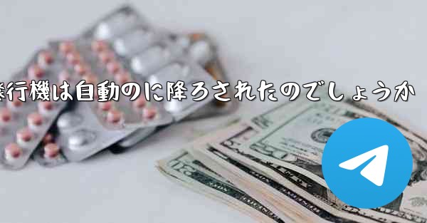 なぜ紙飛行機は自動のに降ろされたのでしょうか