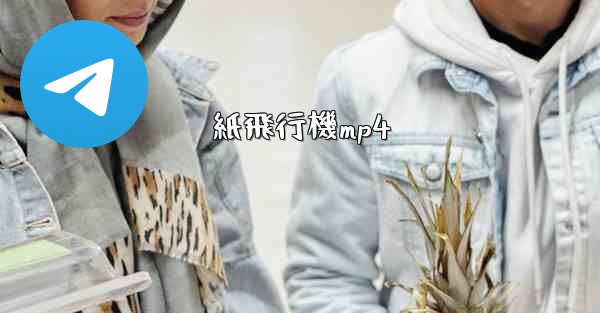 紙飛行機mp4