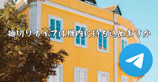 麺切りナイフは機内に持ち込めますか