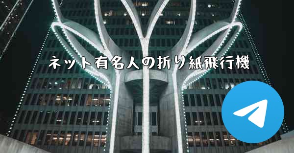 ネット有名人の折り紙飛行機