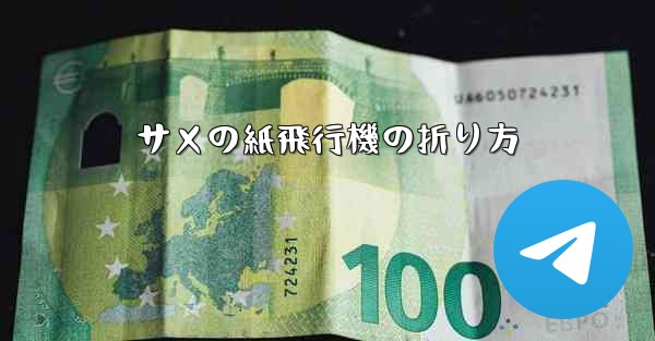 サメの紙飛行機の折り方
