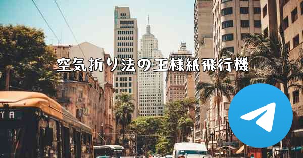 空気折り法の王様紙飛行機