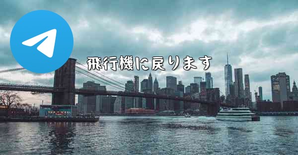飛行機に戻ります