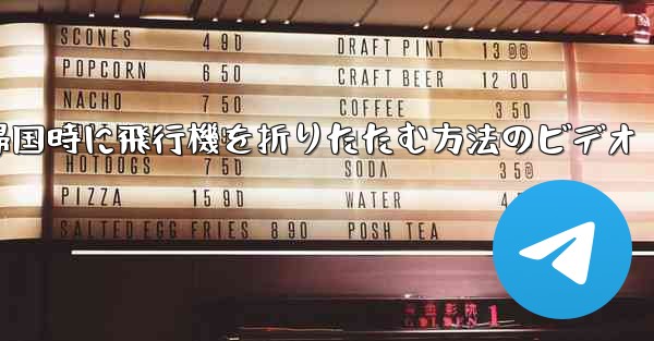 帰国時に飛行機を折りたたむ方法のビデオ