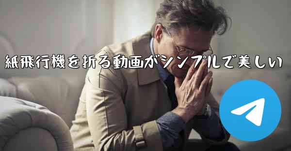 紙飛行機を折る動画がシンプルで美しい