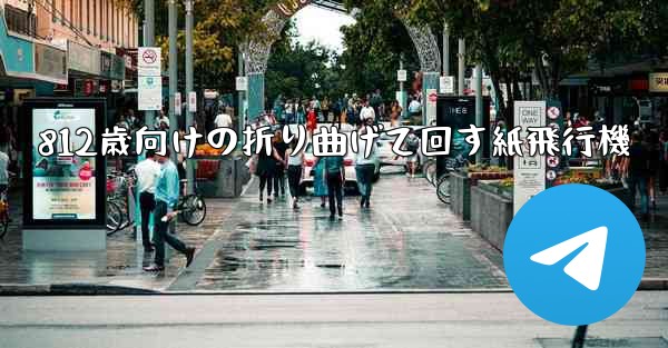 812歳向けの折り曲げて回す紙飛行機