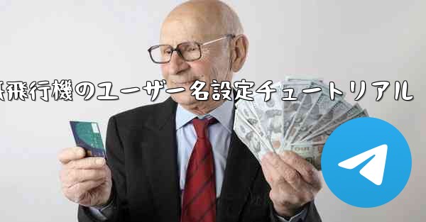 紙飛行機のユーザー名設定チュートリアル