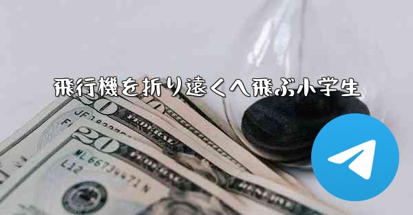 飛行機を折り遠くへ飛ぶ小学生