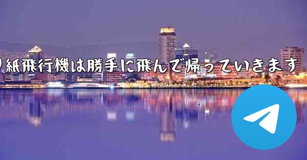 折り紙飛行機は勝手に飛んで帰っていきます