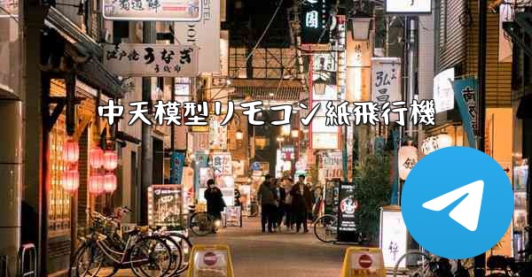 中天模型リモコン紙飛行機