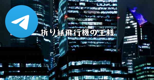 折り紙飛行機の王様