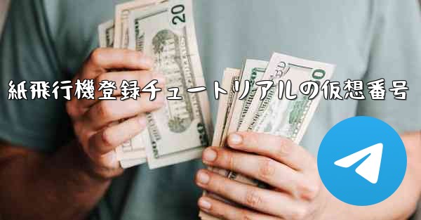 紙飛行機登録チュートリアルの仮想番号