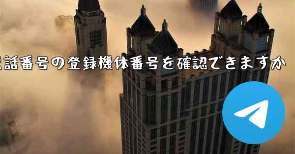 国内携帯電話番号の登録機体番号を確認できますか