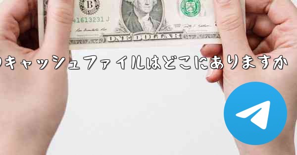 Mobile Paper Planeのキャッシュファイルはどこにありますか