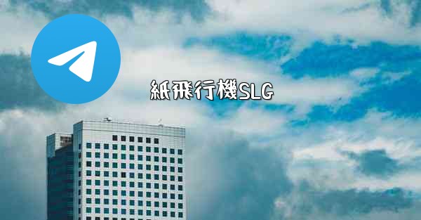 紙飛行機SLG