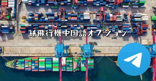 紙飛行機中国語オプション