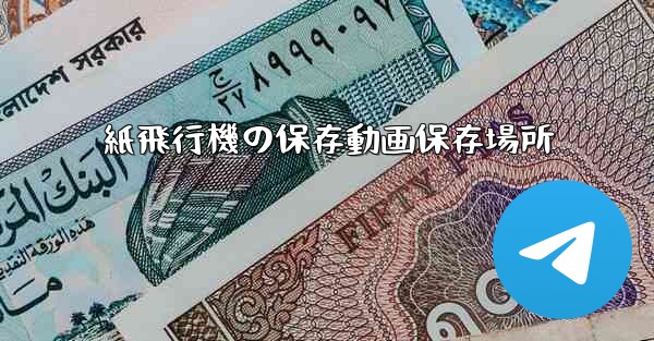 紙飛行機の保存動画保存場所