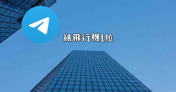 紙飛行機1位