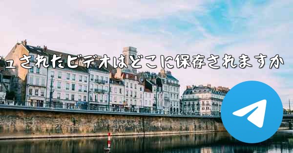 Paper Plane のキャッシュされたビデオはどこに保存されますか