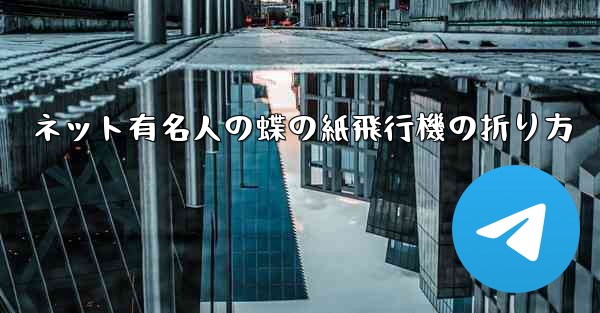ネット有名人の蝶の紙飛行機の折り方