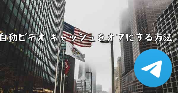 Paper Plane で自動ビデオ キャッシュをオフにする方法