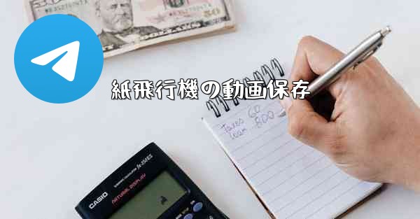 紙飛行機の動画保存