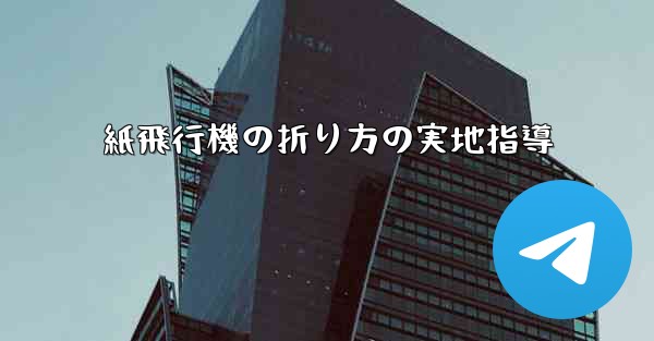 紙飛行機の折り方の実地指導