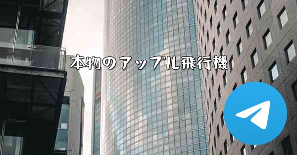 本物のアップル飛行機