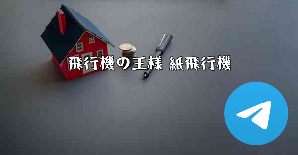 飛行機の王様 紙飛行機