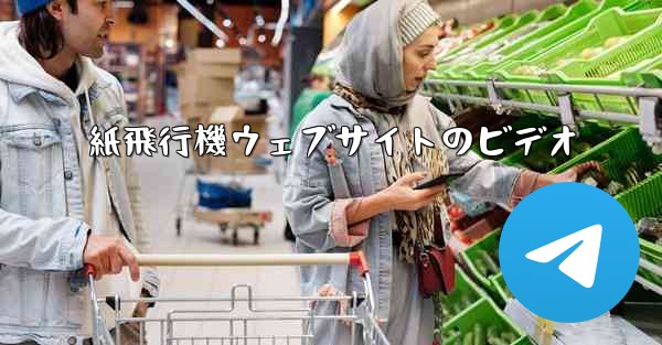 紙飛行機ウェブサイトのビデオ
