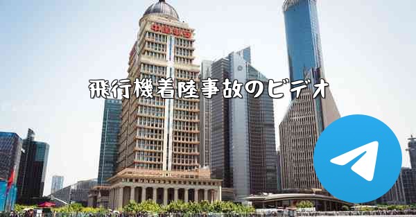 飛行機着陸事故のビデオ