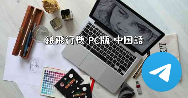 紙飛行機 PC版 中国語