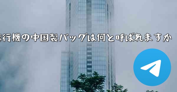 紙飛行機の中国製バッグは何と呼ばれますか
