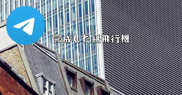 完成した紙飛行機