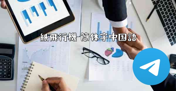 紙飛行機 簡体字中国語