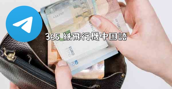 365 紙飛行機中国語