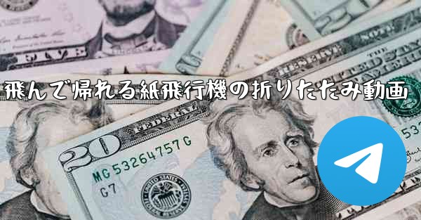 飛んで帰れる紙飛行機の折りたたみ動画