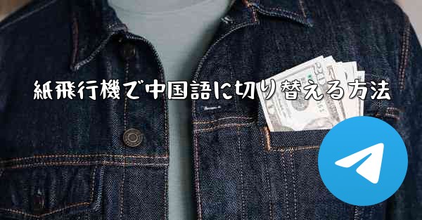 紙飛行機で中国語に切り替える方法