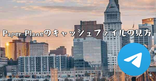 Paper Planeのキャッシュファイルの見方