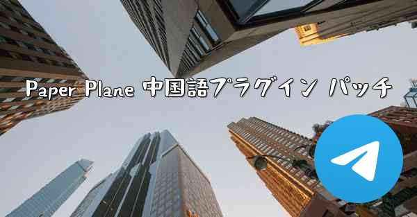 Paper Plane 中国語プラグイン パッチ