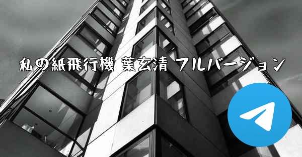 私の紙飛行機 葉玄清 フルバージョン