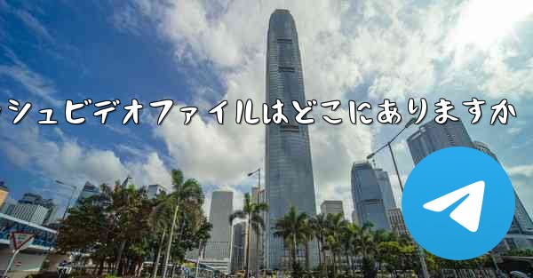 Paper Plane のキャッシュビデオファイルはどこにありますか
