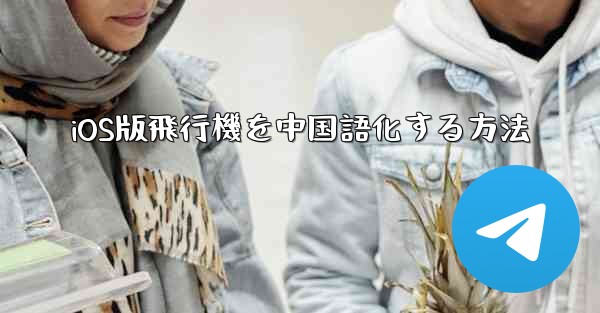 iOS版飛行機を中国語化する方法
