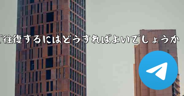 スイングプレーンを 100 割引で往復するにはどうすればよいでしょうか