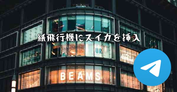 紙飛行機にスイカを挿入